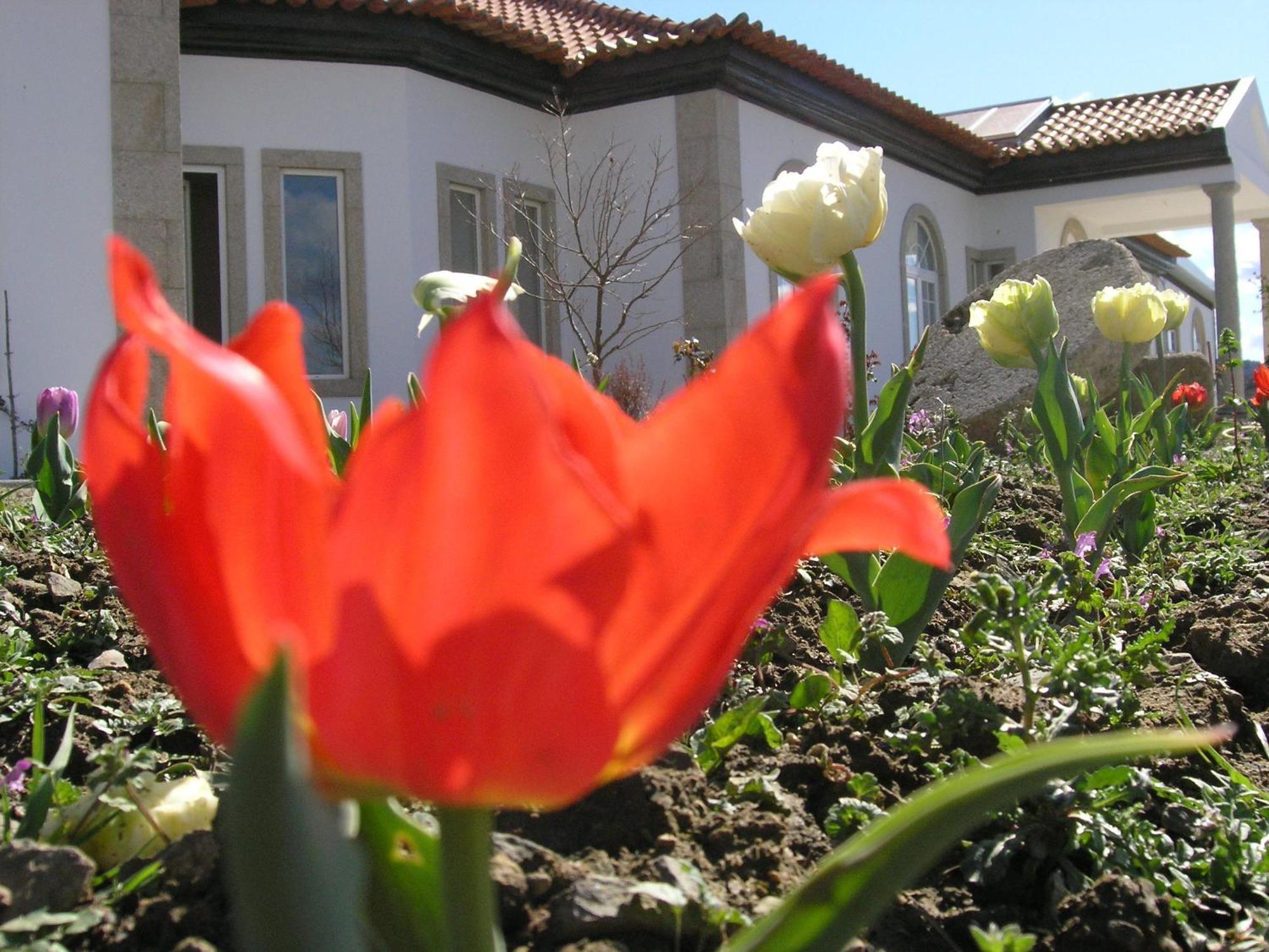 Casa De Alpajares - Guest House & Spa Freixo de Espada à Cinta Esterno foto